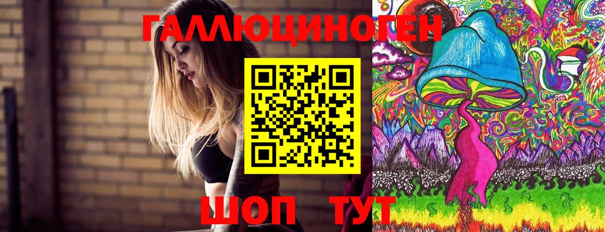 Галлюциногенные грибы прущие грибы Губаха