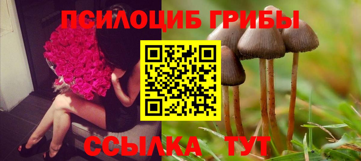 Псилоцибиновые грибы прущие грибы  Псилоцибиновые грибы GOLDEN TEACHER  Вход с VPN  Губаха 
