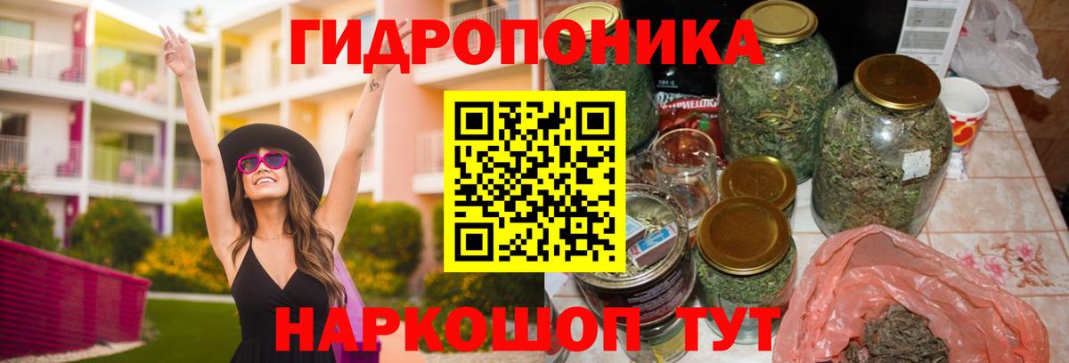 Шишки марихуана MAZAR Губаха
